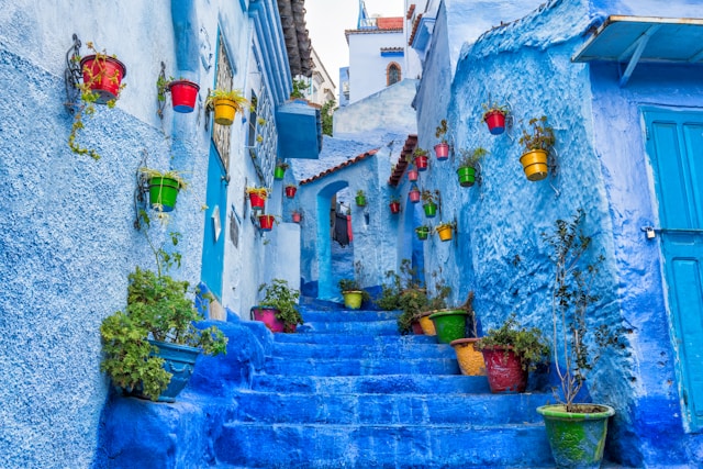 milad alizadeh jibma0fbyhw unsplash