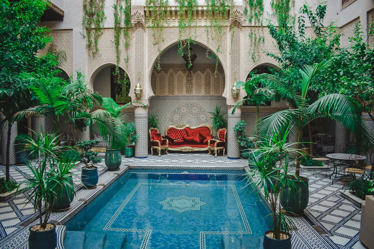 pexels babix 7391720 (1)