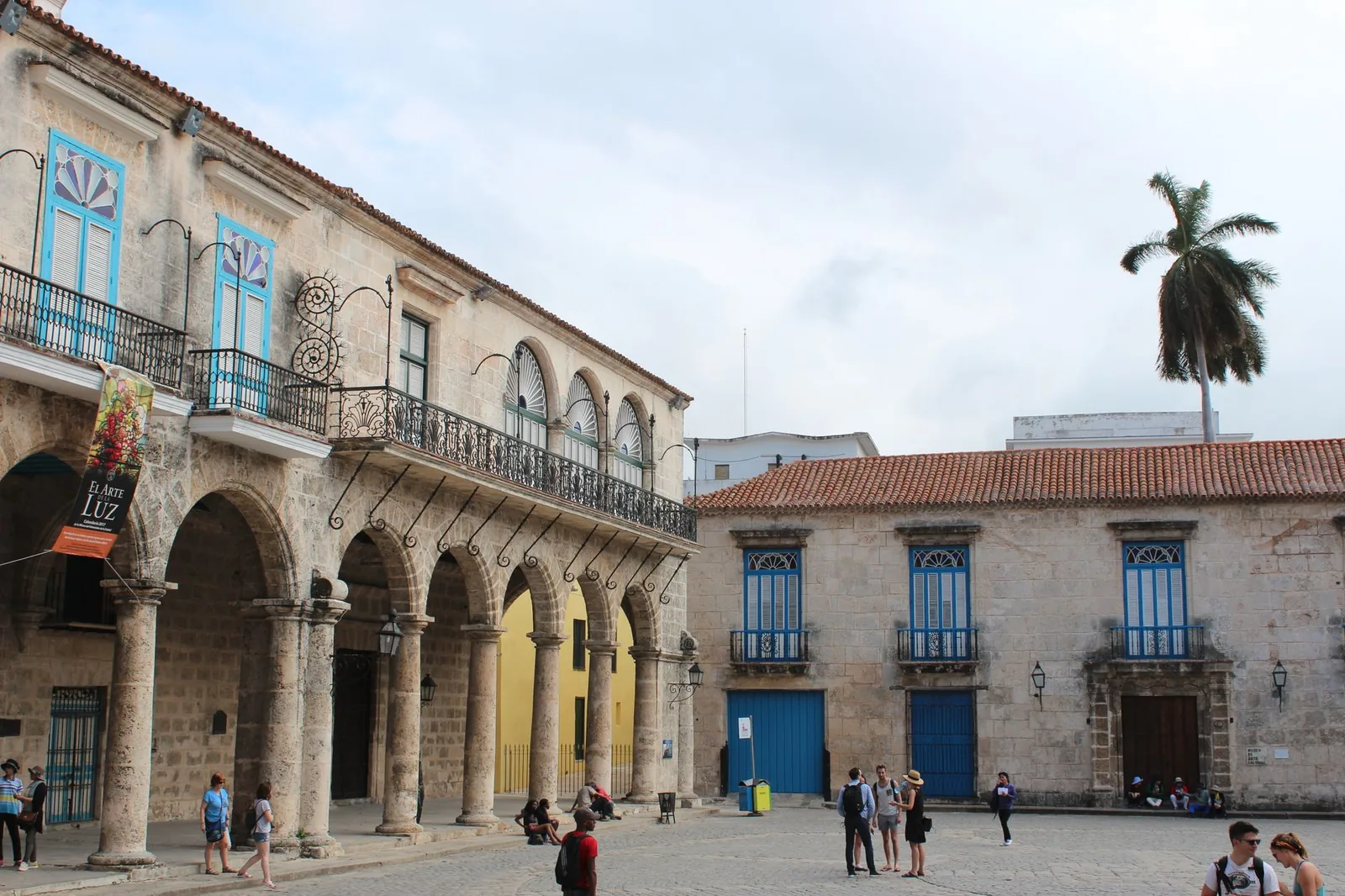 Plaza de la Catedral in Old Havana, colonial arcades and a palm tree, Cuba