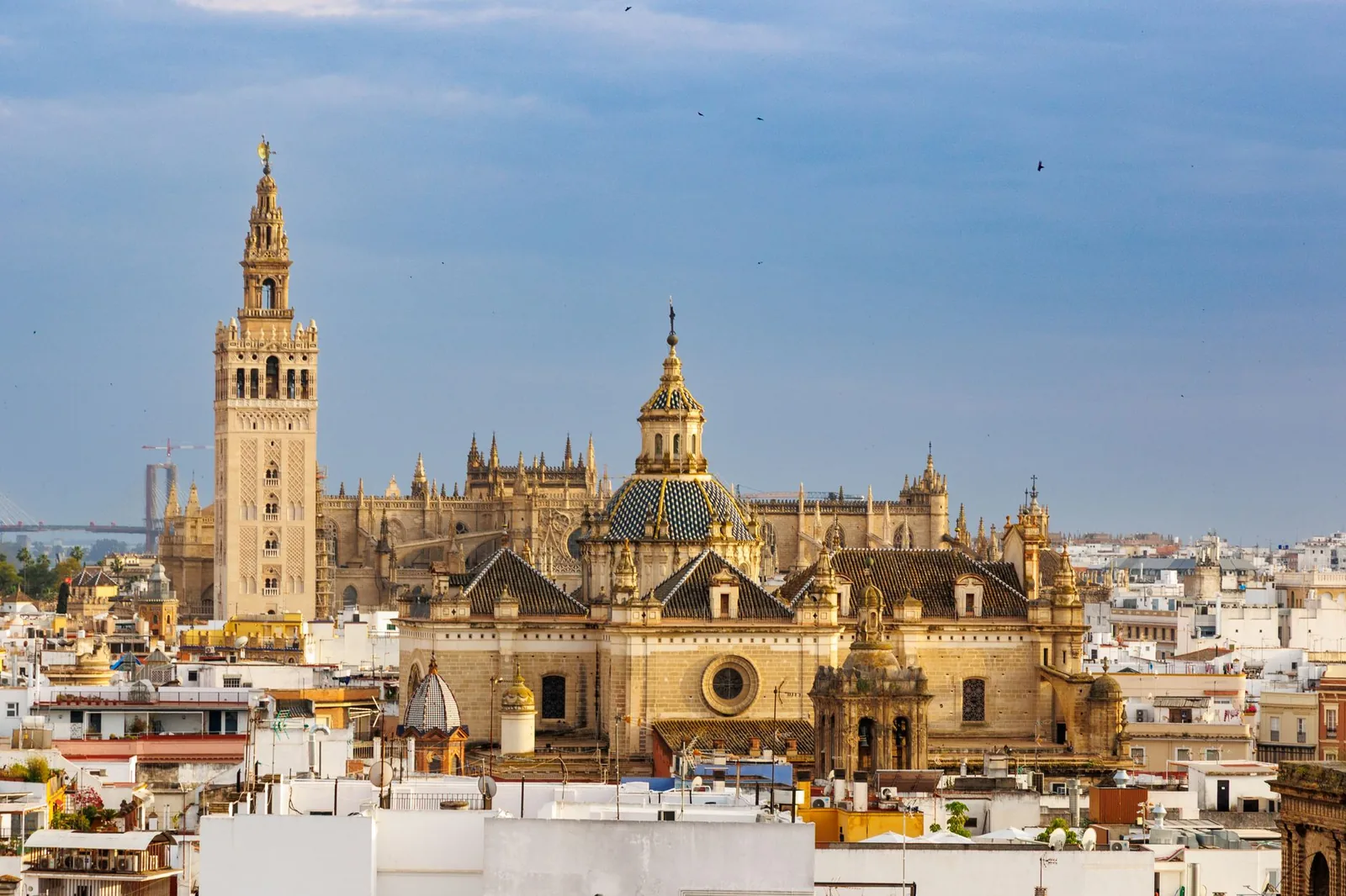 La cathédrale de Séville et la tour Giralda baignées de lumière dorée au-dessus des toits