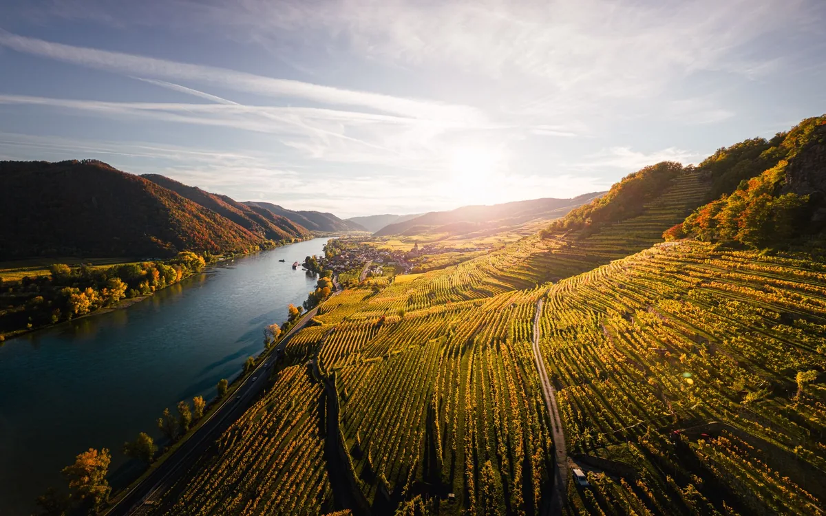 Cycle path along the Danube in the Wachau valley in Austria, terraced vineyards and the river, on EuroVelo 6