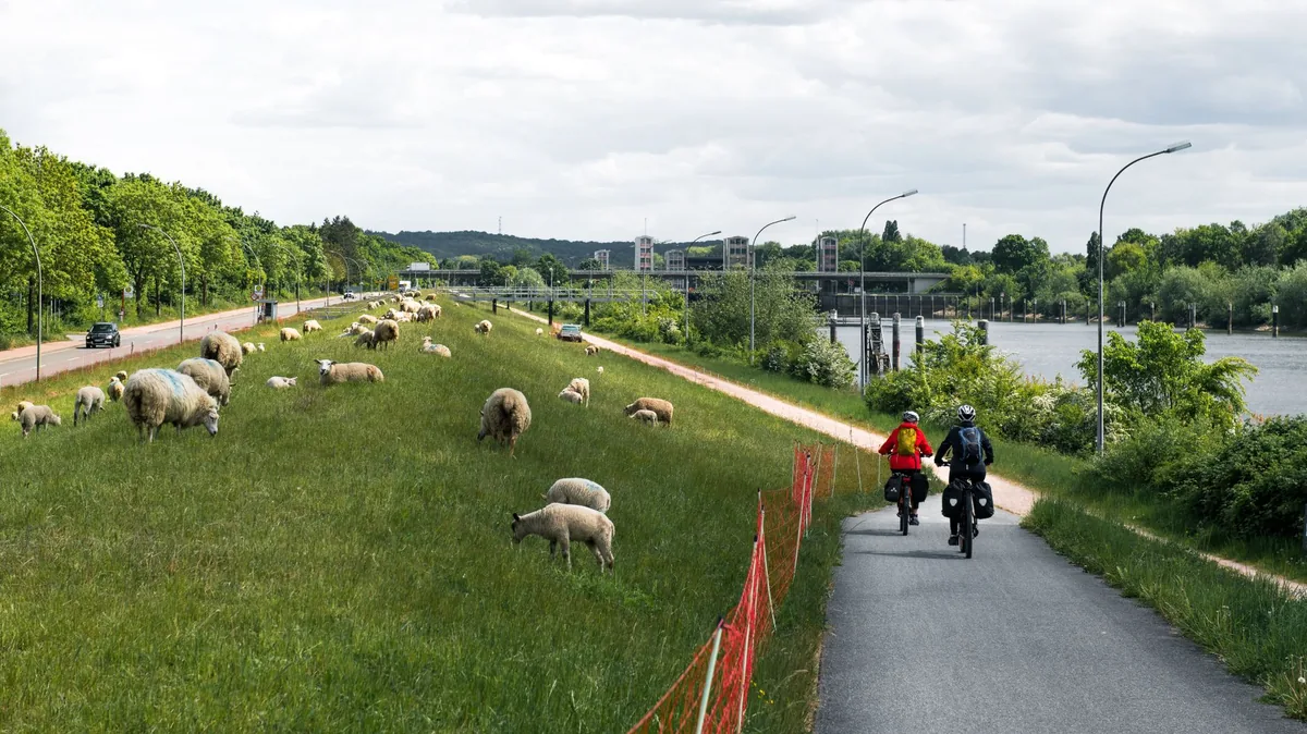 Touring cyclists on a EuroVelo cycle path along the Danube in Austria, bikepacking panniers and a EuroVelo route sign