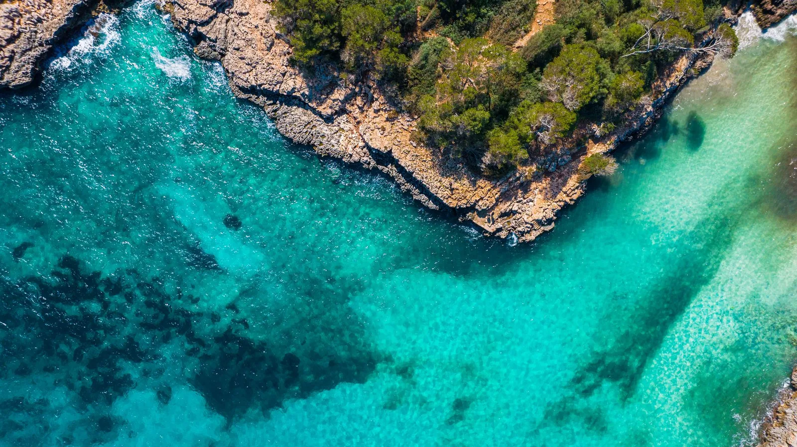 Vista aérea de una cala de aguas turquesas rodeada de pinos y acantilados en Mallorca